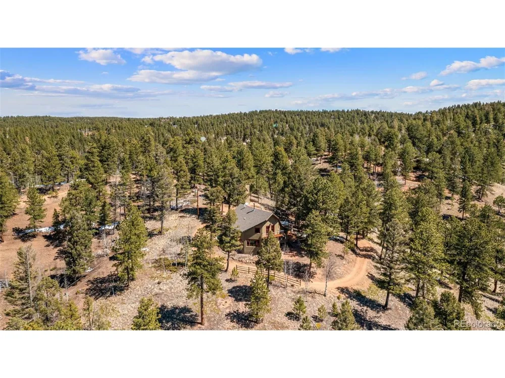 174 Needle Creek Road Divide, CO 80814