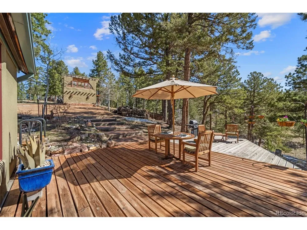 174 Needle Creek Road Divide, CO 80814