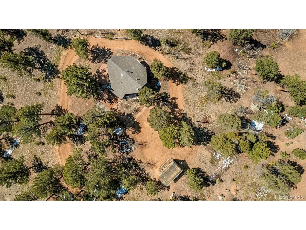 174 Needle Creek Road Divide, CO 80814