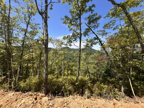 Shiners Ridge