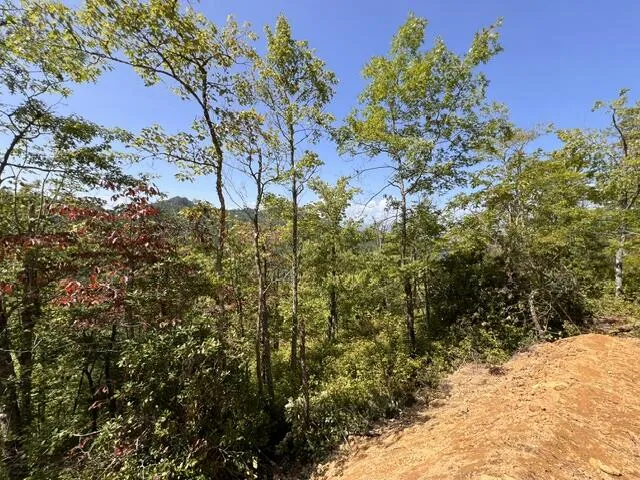 Shiners Ridge Bryson City, NC 28702