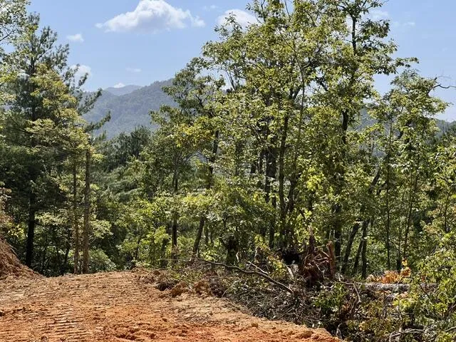 Shiners Ridge Bryson City, NC 28702
