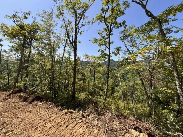 Shiners Ridge Bryson City, NC 28702