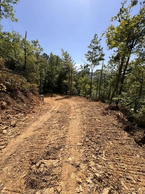 Shiners Ridge Bryson City, NC 28702