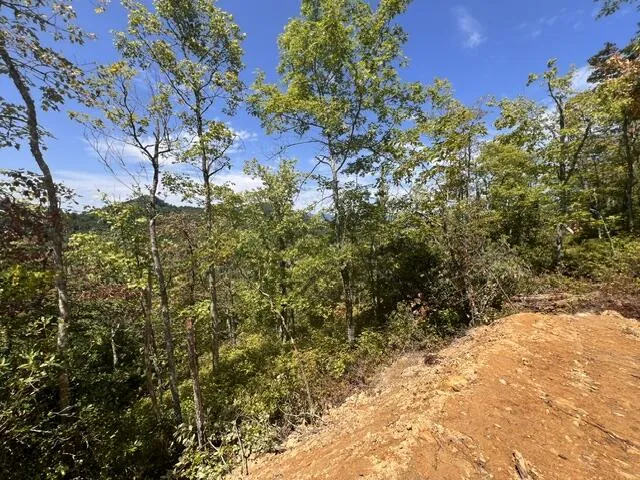Shiners Ridge Bryson City, NC 28702