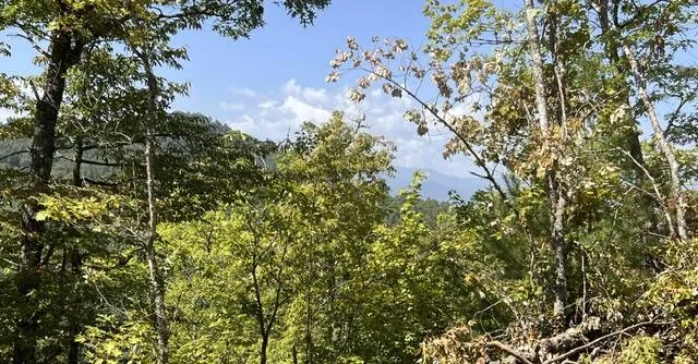 Shiners Ridge Bryson City, NC 28702