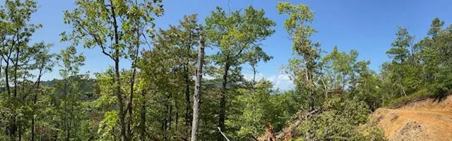 Shiners Ridge Bryson City, NC 28702