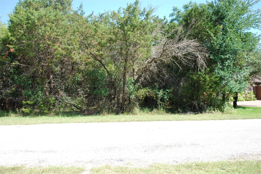 35033 Oak Wood Drive Whitney, TX 76692