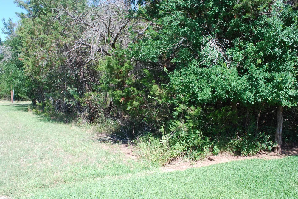 35033 Oak Wood Drive Whitney, TX 76692