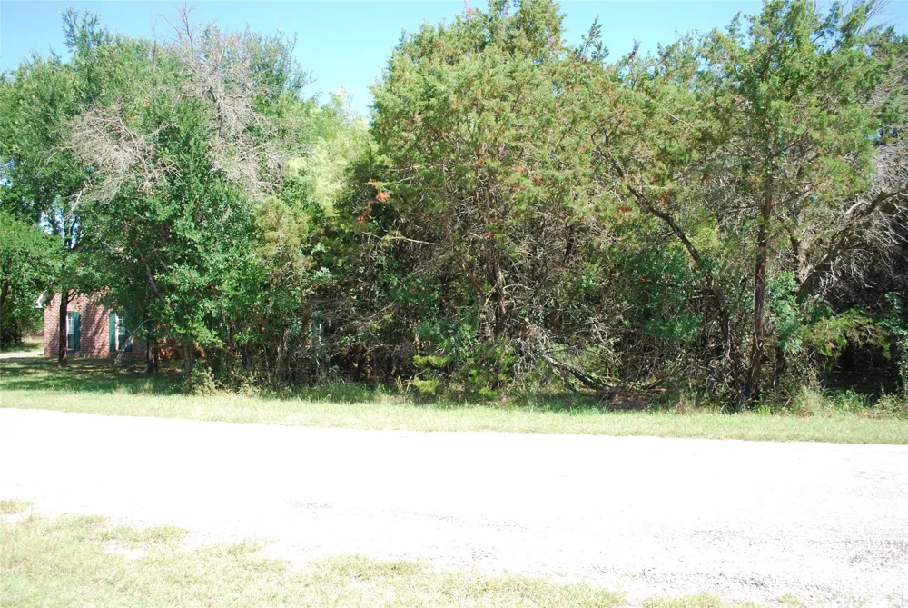 35033 Oak Wood Drive Whitney, TX 76692