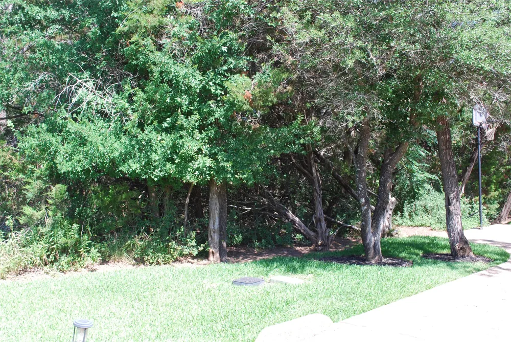 35033 Oak Wood Drive Whitney, TX 76692