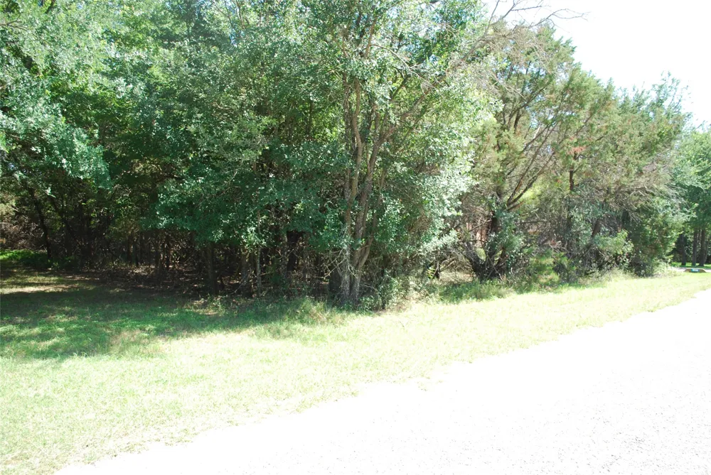 35033 Oak Wood Drive Whitney, TX 76692