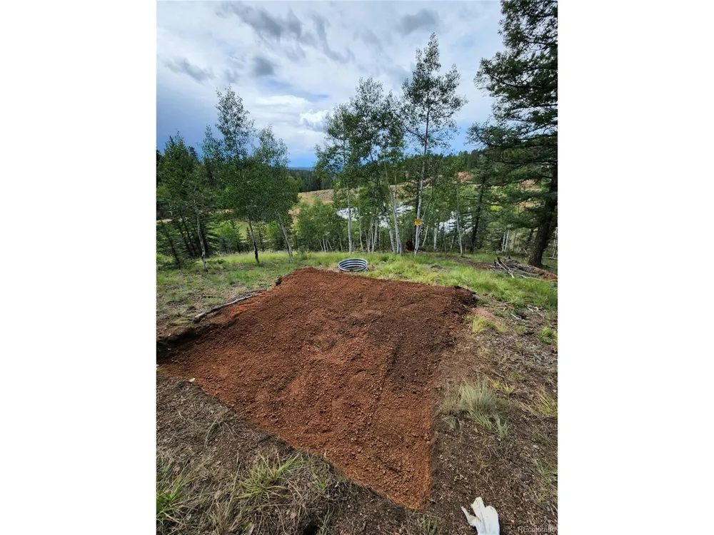 1076 Spring Valley Lane Florissant, CO 80816