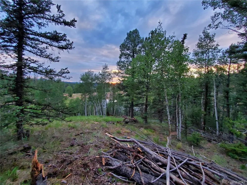 1076 Spring Valley Lane Florissant, CO 80816