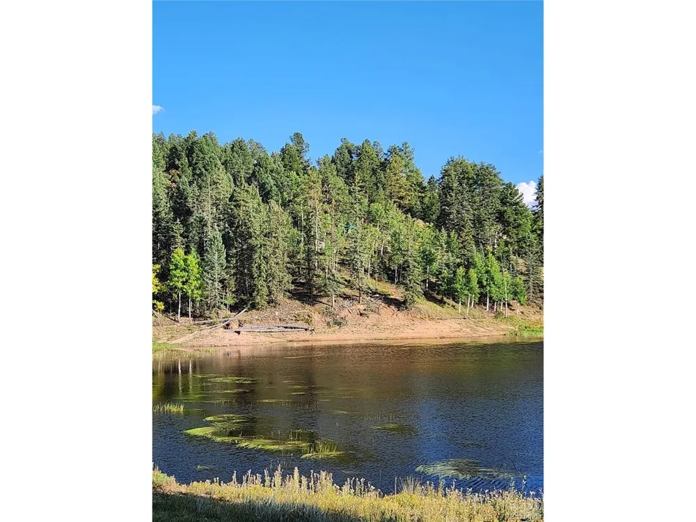 1076 Spring Valley Lane Florissant, CO 80816
