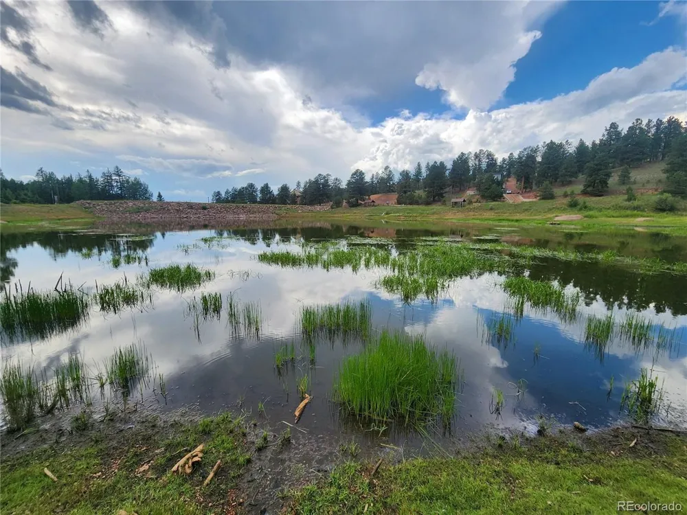 1076 Spring Valley Lane Florissant, CO 80816