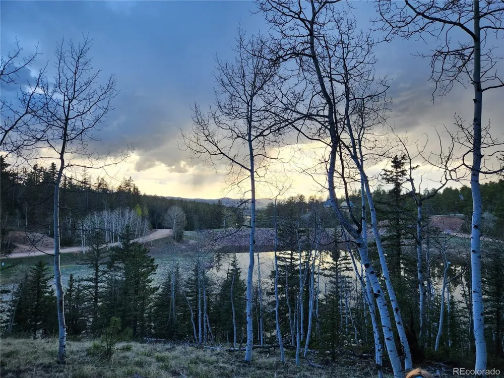 1076 Spring Valley Lane Florissant, CO 80816
