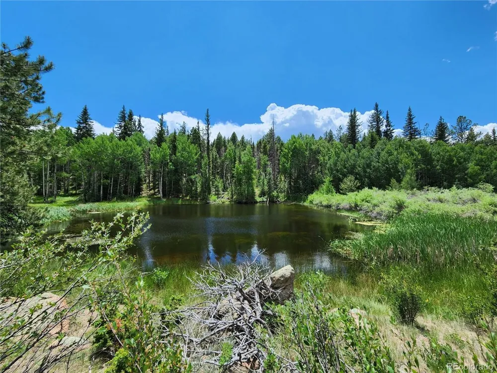 1076 Spring Valley Lane Florissant, CO 80816