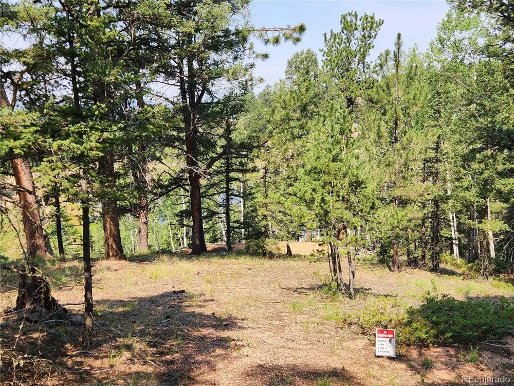 1076 Spring Valley Lane Florissant, CO 80816