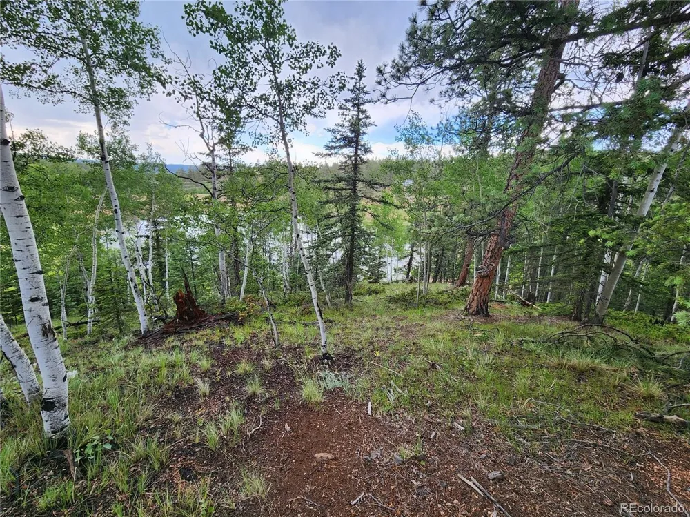 1076 Spring Valley Lane Florissant, CO 80816