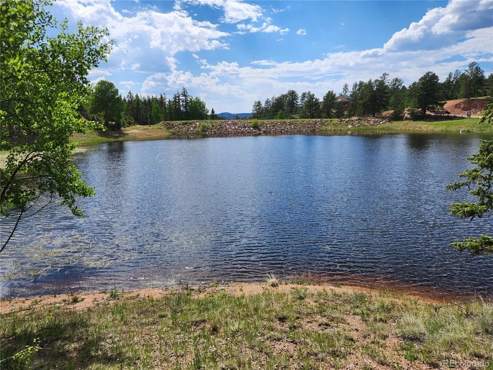 1076 Spring Valley Lane Florissant, CO 80816