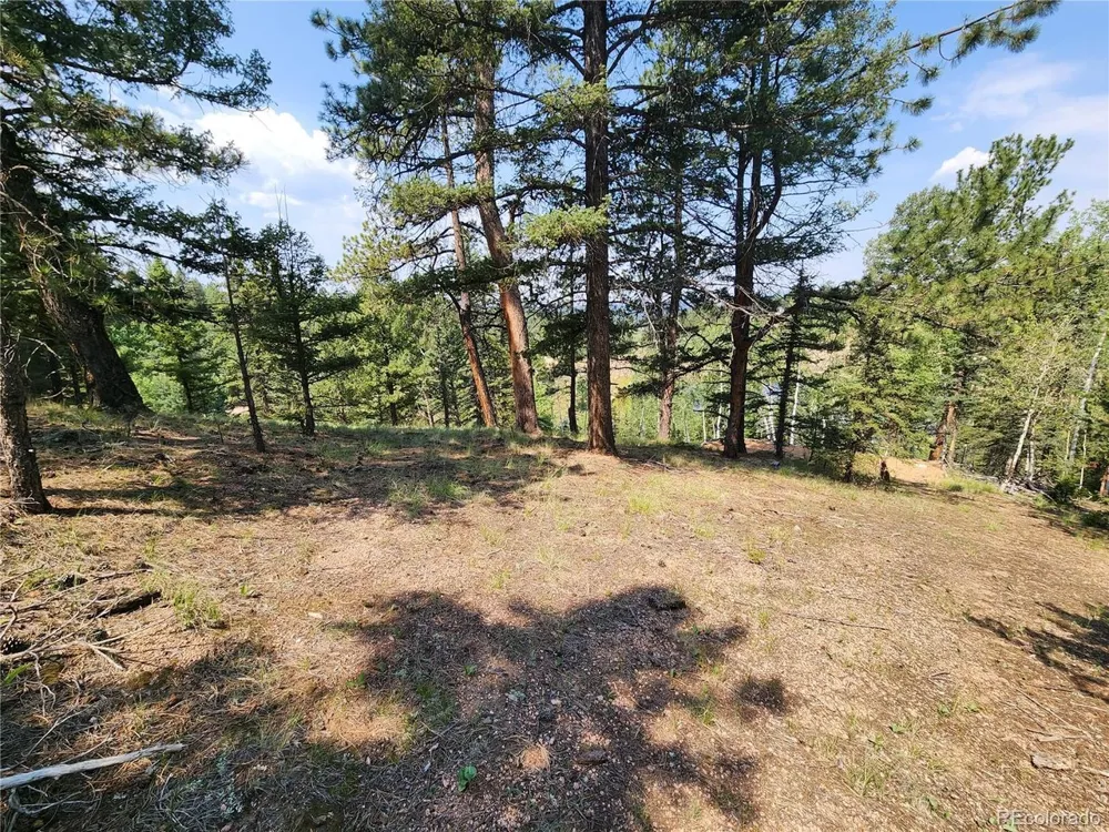 1076 Spring Valley Lane Florissant, CO 80816