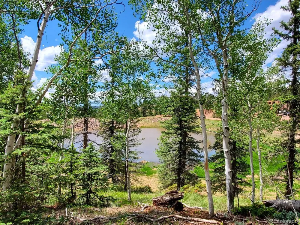 1076 Spring Valley Lane Florissant, CO 80816