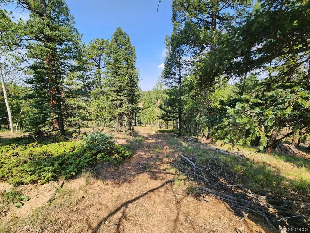 1076 Spring Valley Lane Florissant, CO 80816