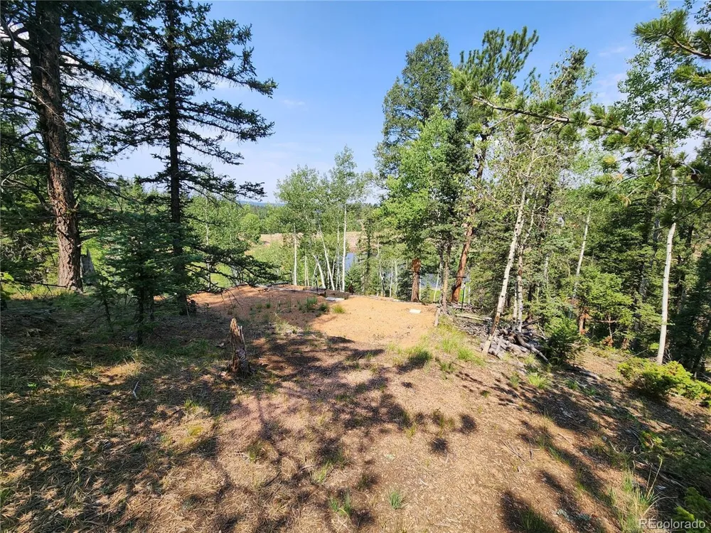 1076 Spring Valley Lane Florissant, CO 80816