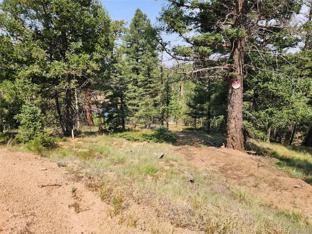 1076 Spring Valley Lane Florissant, CO 80816