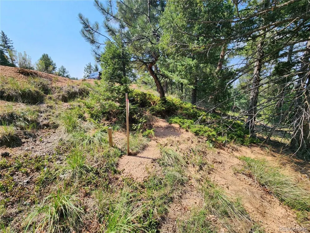 1076 Spring Valley Lane Florissant, CO 80816