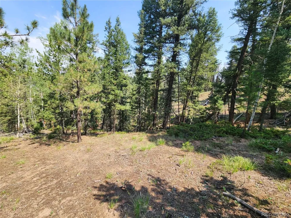 1076 Spring Valley Lane Florissant, CO 80816