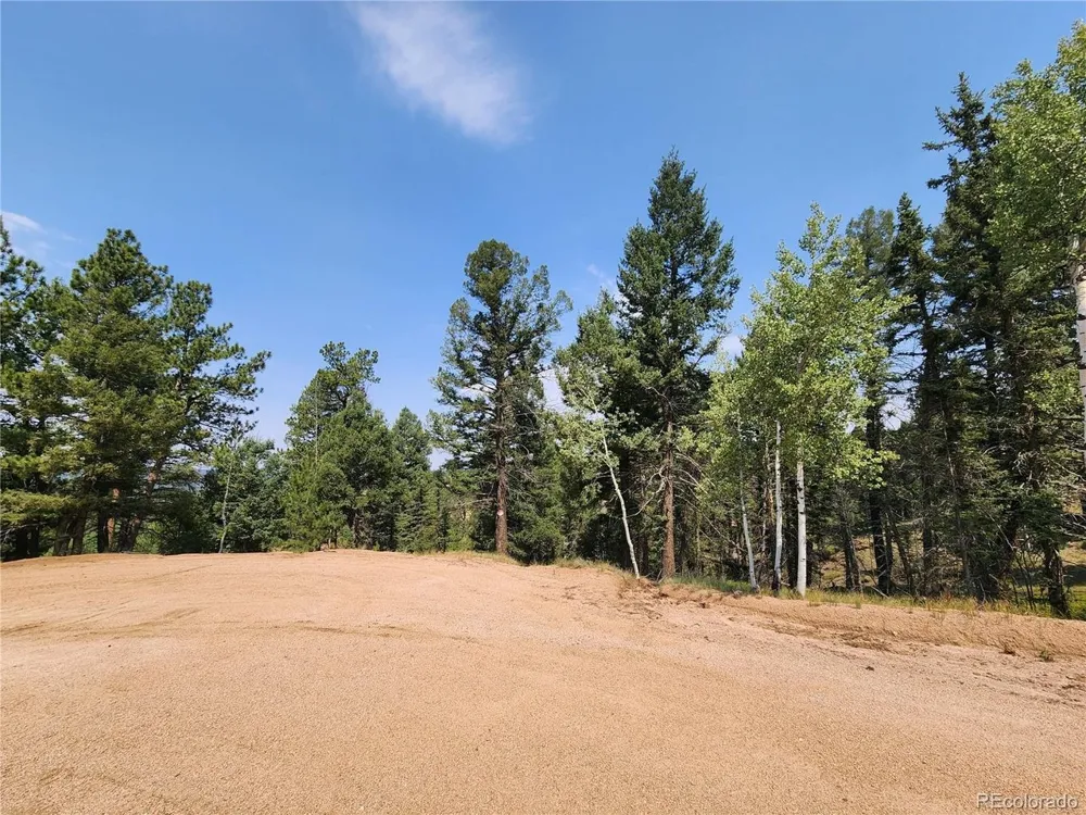 1076 Spring Valley Lane Florissant, CO 80816