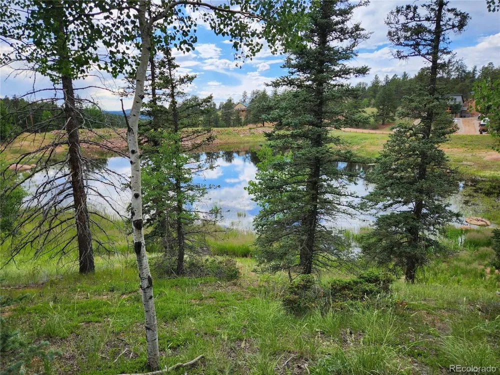 1076 Spring Valley Lane Florissant, CO 80816