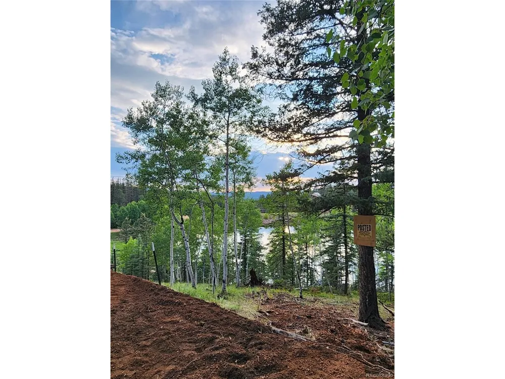 1076 Spring Valley Lane Florissant, CO 80816