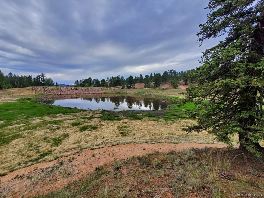 1076 Spring Valley Lane Florissant, CO 80816