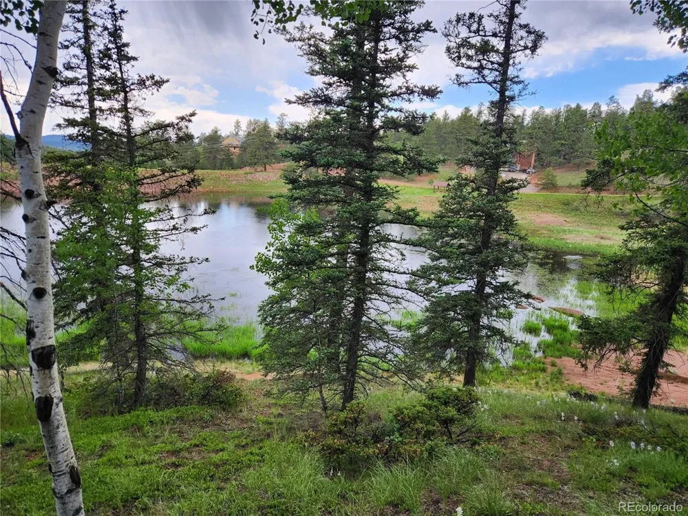 1076 Spring Valley Lane Florissant, CO 80816