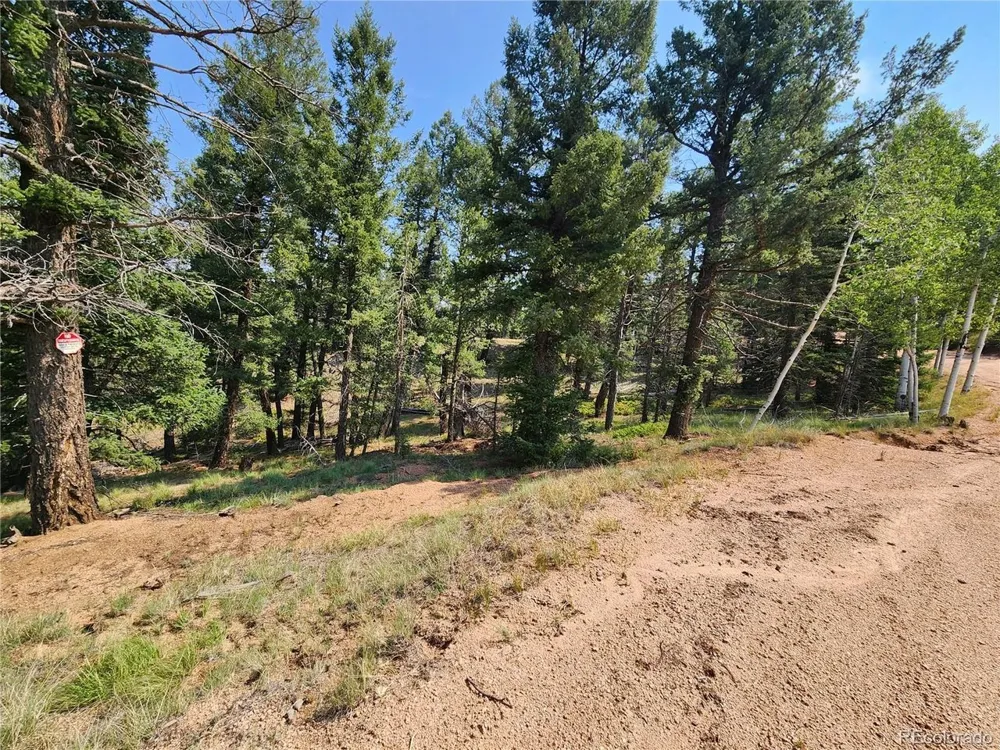 1076 Spring Valley Lane Florissant, CO 80816