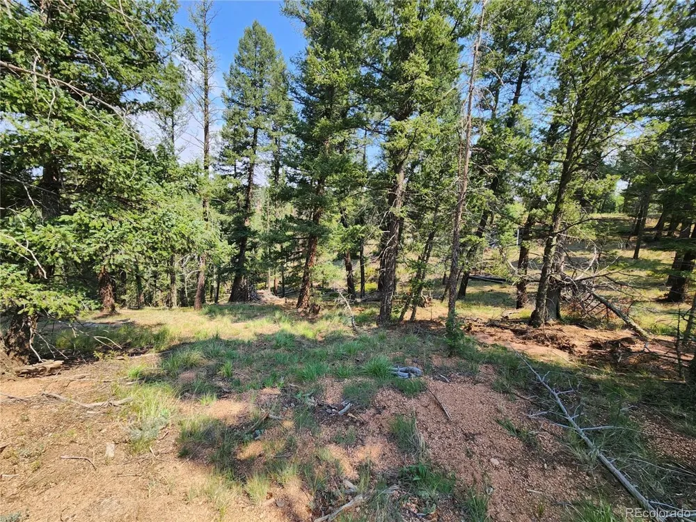 1076 Spring Valley Lane Florissant, CO 80816