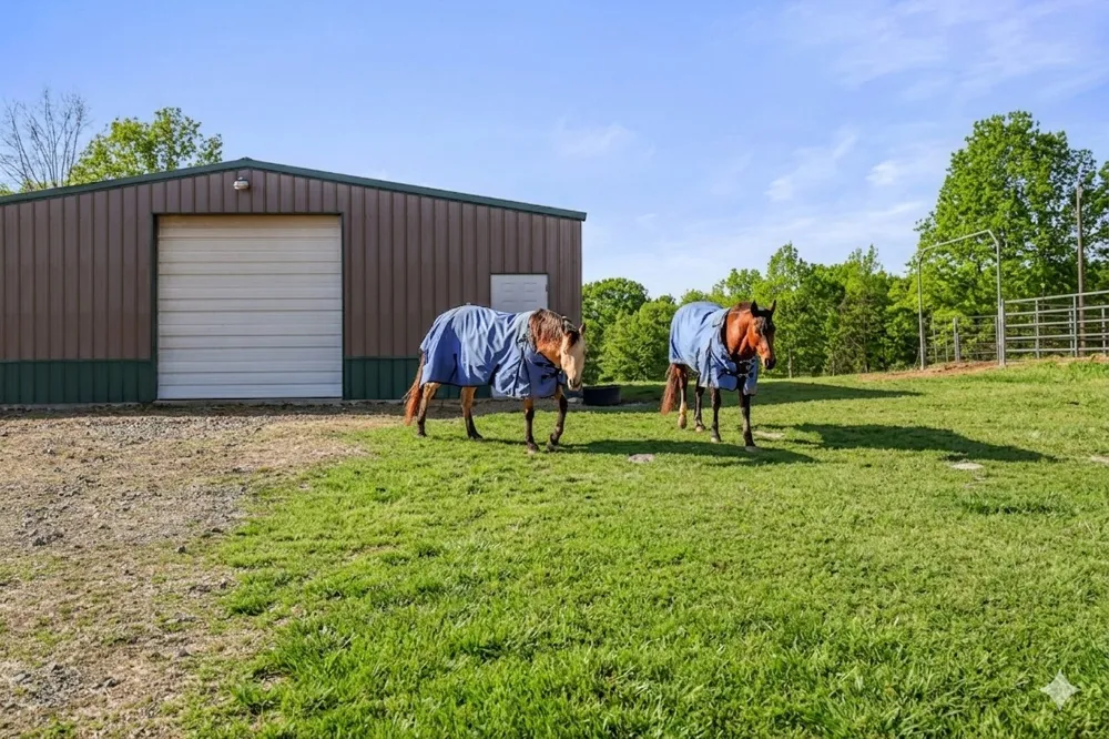 3735 Holmes Gap Rd Watertown, TN 37184