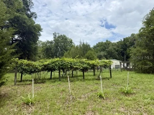 4760-A NW 55TH AVENUE Bell, FL 32619