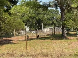 4760-A NW 55TH AVENUE Bell, FL 32619