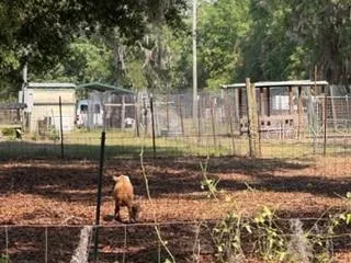 4760-A NW 55TH AVENUE Bell, FL 32619