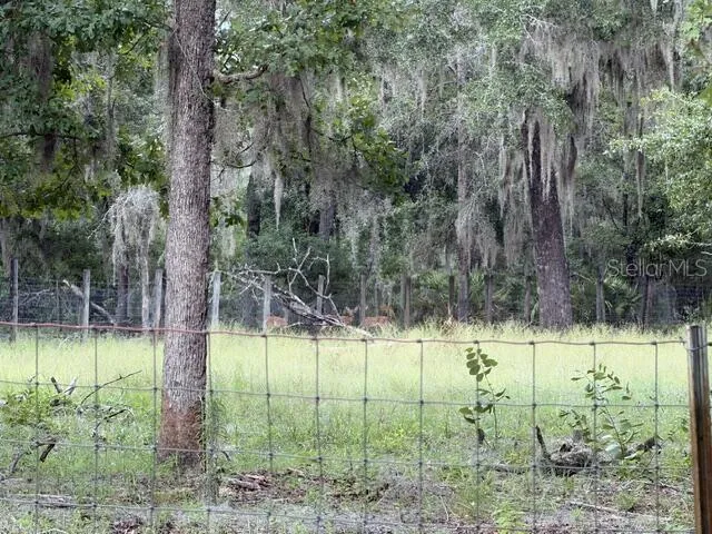 4760-A NW 55TH AVENUE Bell, FL 32619