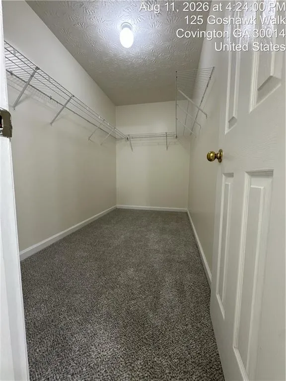 125 Goshawk Walk Covington, GA 30014