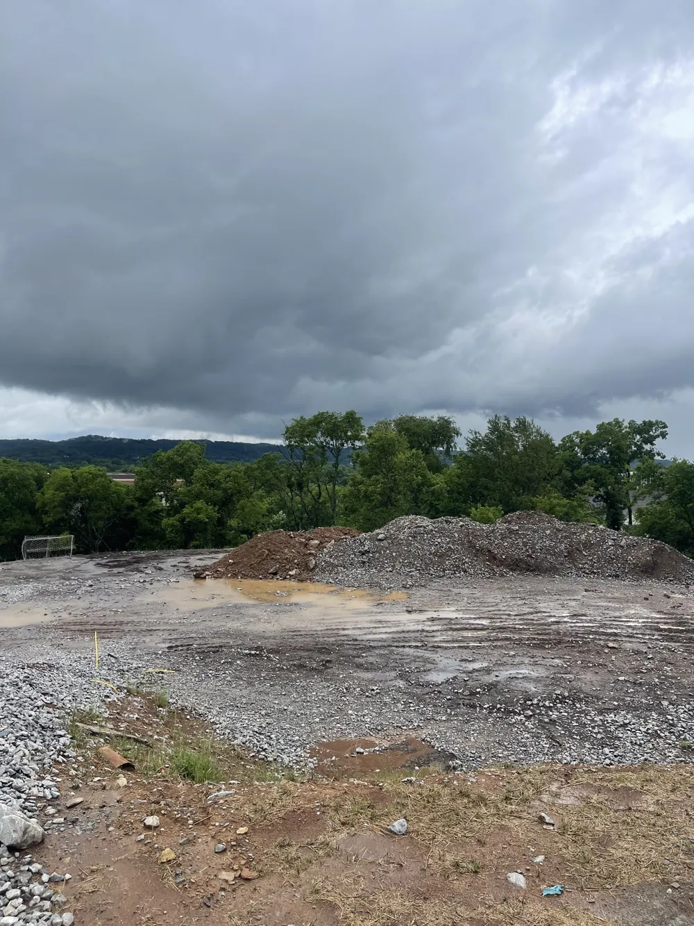 231 Berry Hunter Lane Franklin, TN 37067