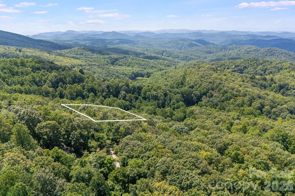 LOT 341 Melrose Mountain Road Tryon, NC 28782