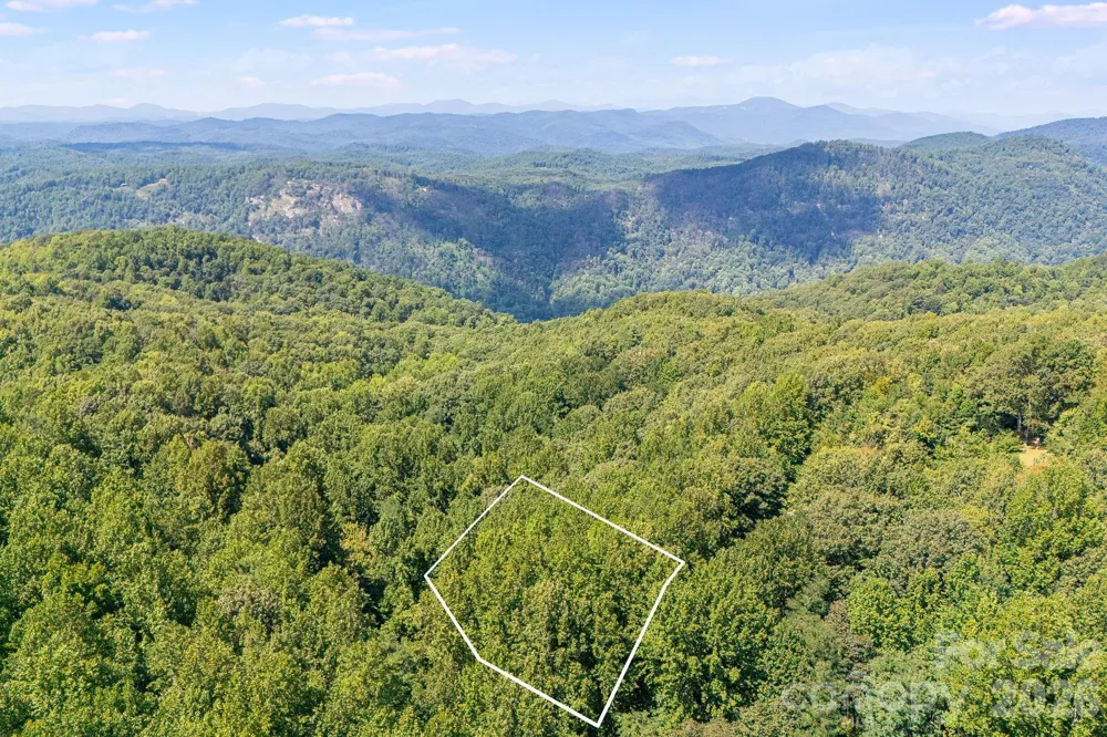 LOT 341 Melrose Mountain Road Tryon, NC 28782