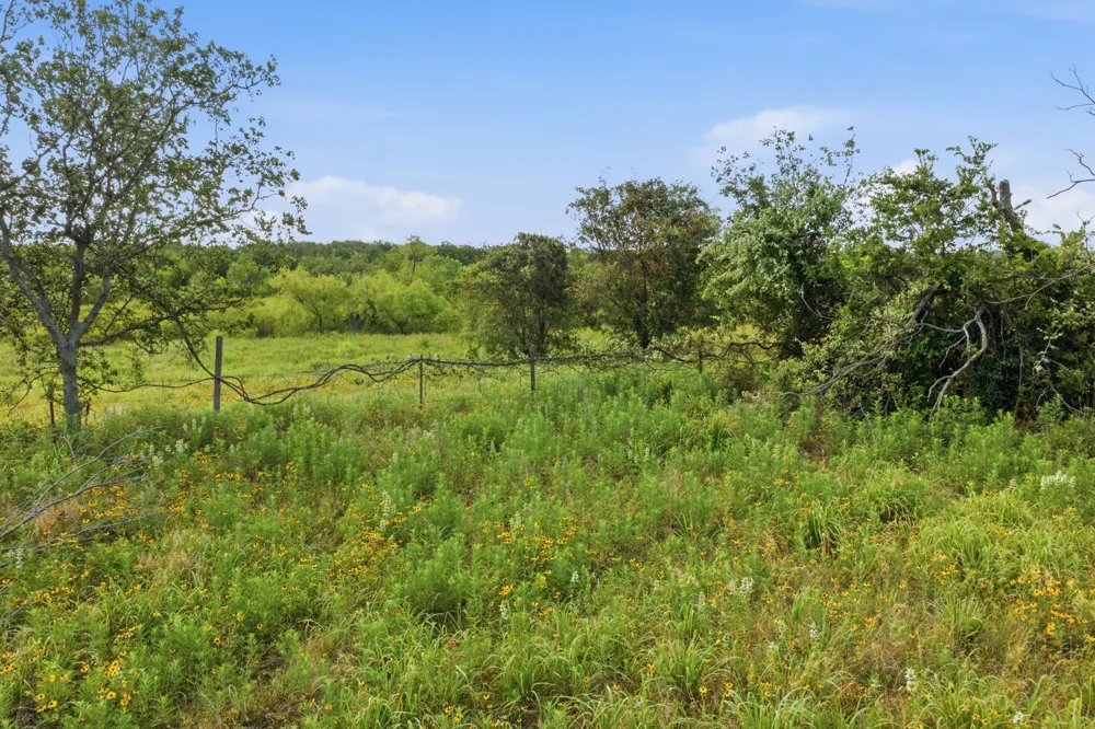 5019 Fm 2123 Paradise, TX 76073