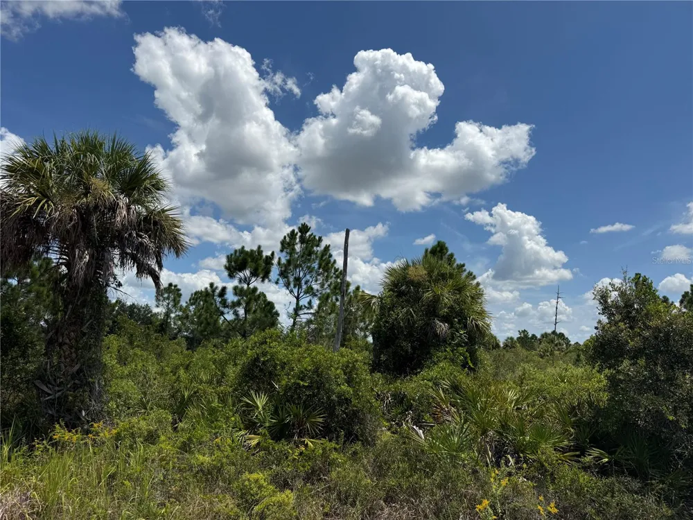 356 LAKEWOOD LANE Port Charlotte, FL 33953
